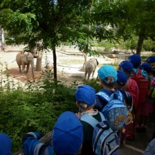 Výlet do ZOO Lešná