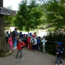 Výlet do ZOO Lešná