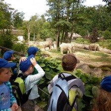 Výlet do ZOO Lešná