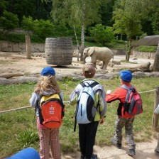 Výlet do ZOO Lešná