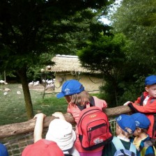 Výlet do ZOO Lešná