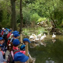 Výlet do ZOO Lešná