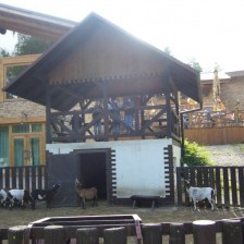 Výlet do ZOO na Kopečku u Olomouce