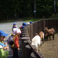 Výlet do ZOO na Kopečku u Olomouce