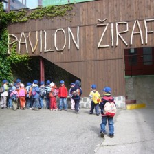 Výlet do ZOO na Kopečku u Olomouce