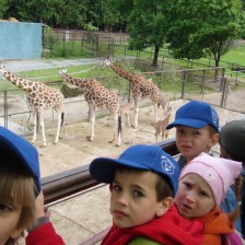 Výlet do ZOO na Kopečku u Olomouce