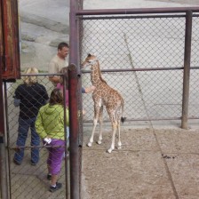 Výlet do ZOO na Kopečku u Olomouce