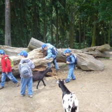 Výlet do ZOO na Kopečku u Olomouce