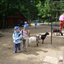 Výlet do ZOO na Kopečku u Olomouce