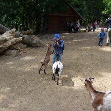 Výlet do ZOO na Kopečku u Olomouce