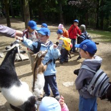 Výlet do ZOO na Kopečku u Olomouce