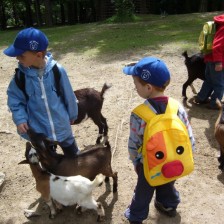 Výlet do ZOO na Kopečku u Olomouce