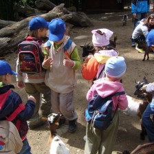 Výlet do ZOO na Kopečku u Olomouce