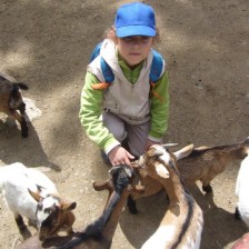 Výlet do ZOO na Kopečku u Olomouce