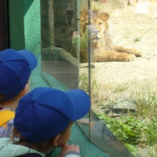 Výlet do ZOO na Kopečku u Olomouce