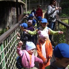 Výlet do ZOO na Kopečku u Olomouce
