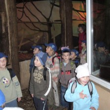 Výlet do ZOO na Kopečku u Olomouce