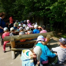 Výlet do ZOO na Kopečku u Olomouce