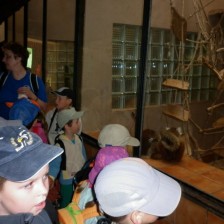 Výlet do ZOO na Kopečku u Olomouce