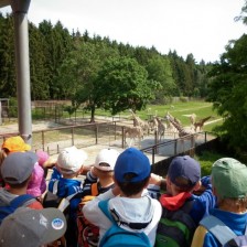 Výlet do ZOO na Kopečku u Olomouce