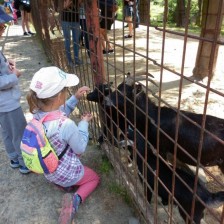 Výlet do ZOO na Kopečku u Olomouce