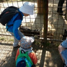Výlet do ZOO na Kopečku u Olomouce