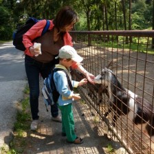 Výlet do ZOO na Kopečku u Olomouce