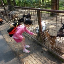 Výlet do ZOO na Kopečku u Olomouce
