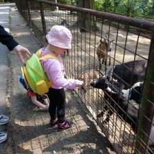 Výlet do ZOO na Kopečku u Olomouce
