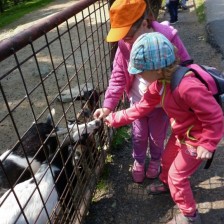 Výlet do ZOO na Kopečku u Olomouce