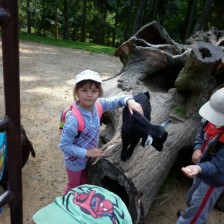 Výlet do ZOO na Kopečku u Olomouce
