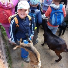 Výlet do ZOO na Kopečku u Olomouce