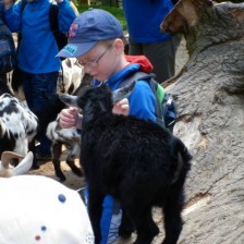 Výlet do ZOO na Kopečku u Olomouce