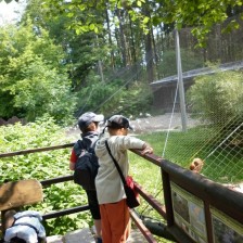 Výlet do ZOO na Kopečku u Olomouce