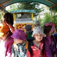 Výlet do ZOO na Kopečku u Olomouce