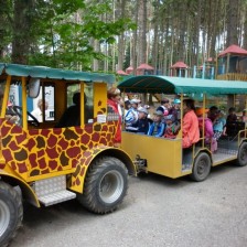 Výlet do ZOO na Kopečku u Olomouce