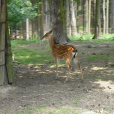 Výlet do ZOO na Kopečku u Olomouce