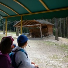 Výlet do ZOO na Kopečku u Olomouce