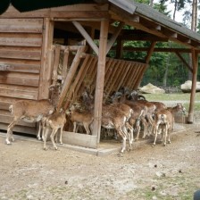 Výlet do ZOO na Kopečku u Olomouce