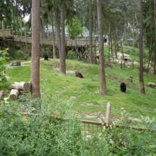 Výlet do ZOO na Kopečku u Olomouce