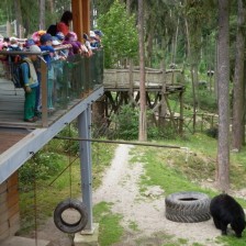 Výlet do ZOO na Kopečku u Olomouce