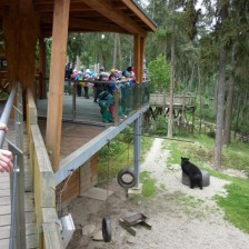 Výlet do ZOO na Kopečku u Olomouce