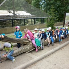 Výlet do ZOO na Kopečku u Olomouce
