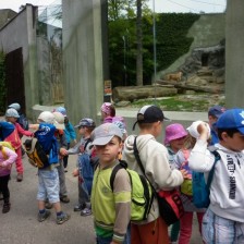 Výlet do ZOO na Kopečku u Olomouce