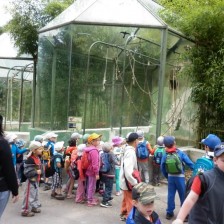 Výlet do ZOO na Kopečku u Olomouce