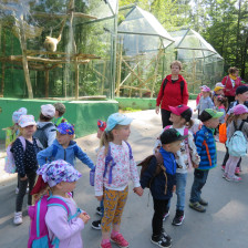 Výlet do ZOO na Kopečku u Olomouce.