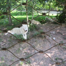 Výlet do ZOO na Kopečku u Olomouce.