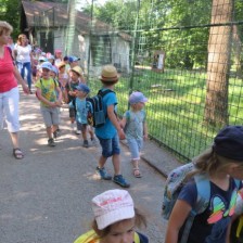Výlet do ZOO na Svatém Kopečku u Olomouce