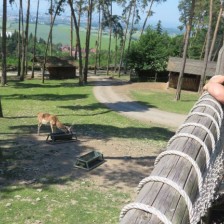 Výlet do ZOO na Svatém Kopečku u Olomouce