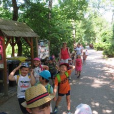 Výlet do ZOO na Svatém Kopečku u Olomouce